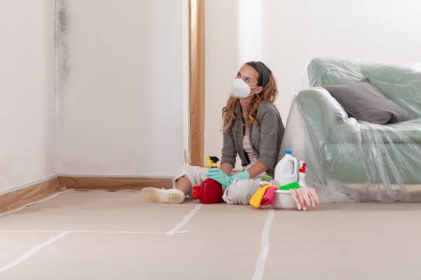 Reliable Commercial Mold Remediation contractor in Eure, NC by WQB Mold Removal